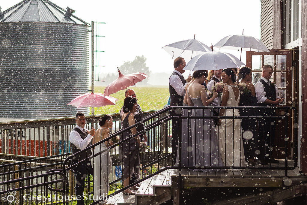 Wedding party with umbrellas going into a rustic barn for a wedding reception due to rain