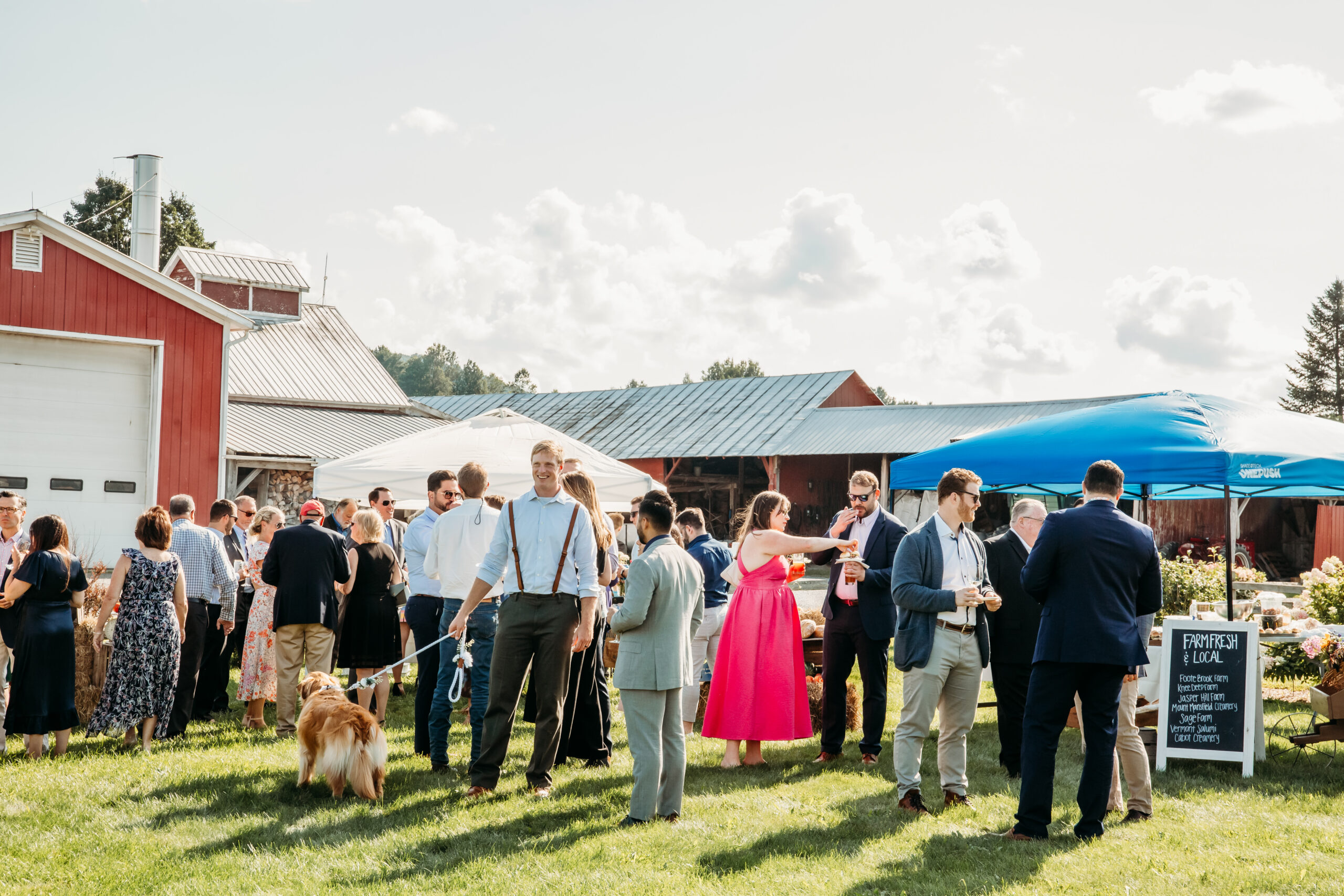 Guests mingling at a Vermont farmers market wedding reception at The Barn at Boyden Farm