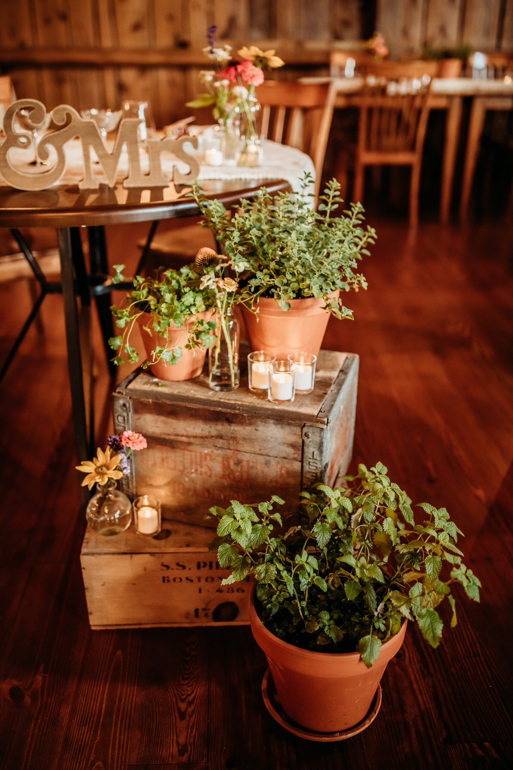 Wooden crates and potted plants surrounding the bride and groom's table at a Vermont farmers market themed wedding